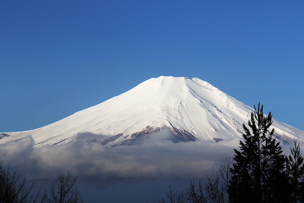 富士山というフィールド